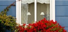 Fenster mit Blumen